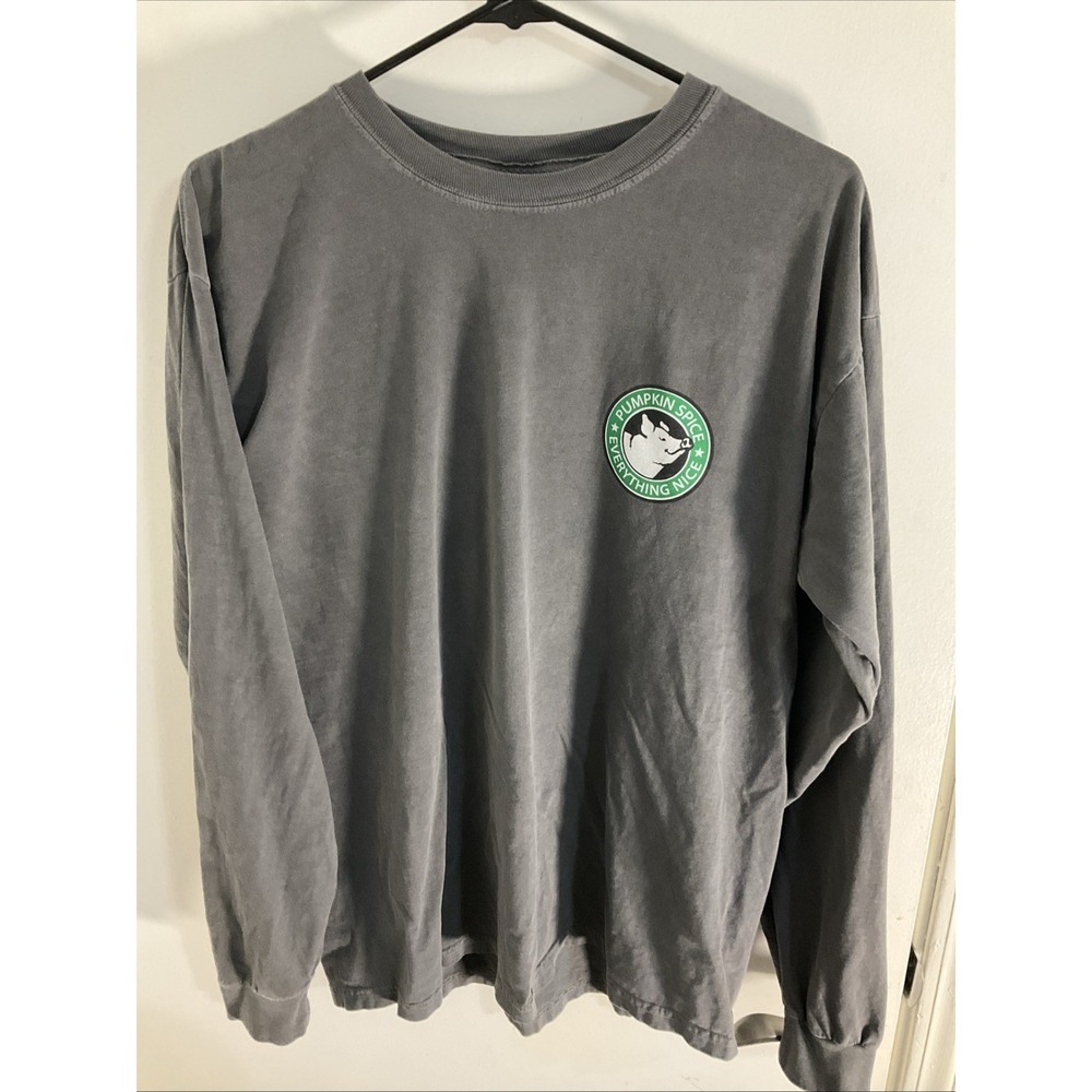 Southern Trend Shirt Womens Large Pig Graphic Pumpkin Spice Gray Long Sleeve - Picture 3 of 5